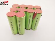 Low Self Discharge Rechargeable Nimh Battery Pack AA1300 12V One Year Guarantee