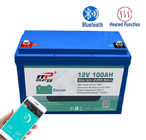 Bluetooth CC-CV 12V 100Ah Lifepo4 Lithium Battery BMS